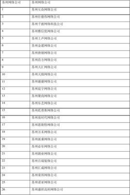 苏州网络公司排名