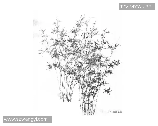 科学羽毛球力量训练的有效方法与技巧解析