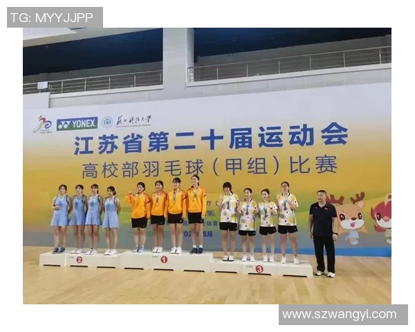 深圳羽毛球队总决赛战术分析与表现评估探讨