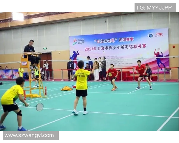 南京羽毛球队在精英赛中的灵活性表现分析与总结 南京羽毛球队在精英赛中的灵活性表现分析与总结