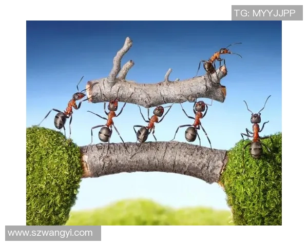 壮壮的足球明星如何通过坚持与努力实现梦想的励志故事